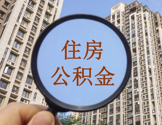 巨野退休后查不到公积金明细了吗（退休后公积金查询不到原因）